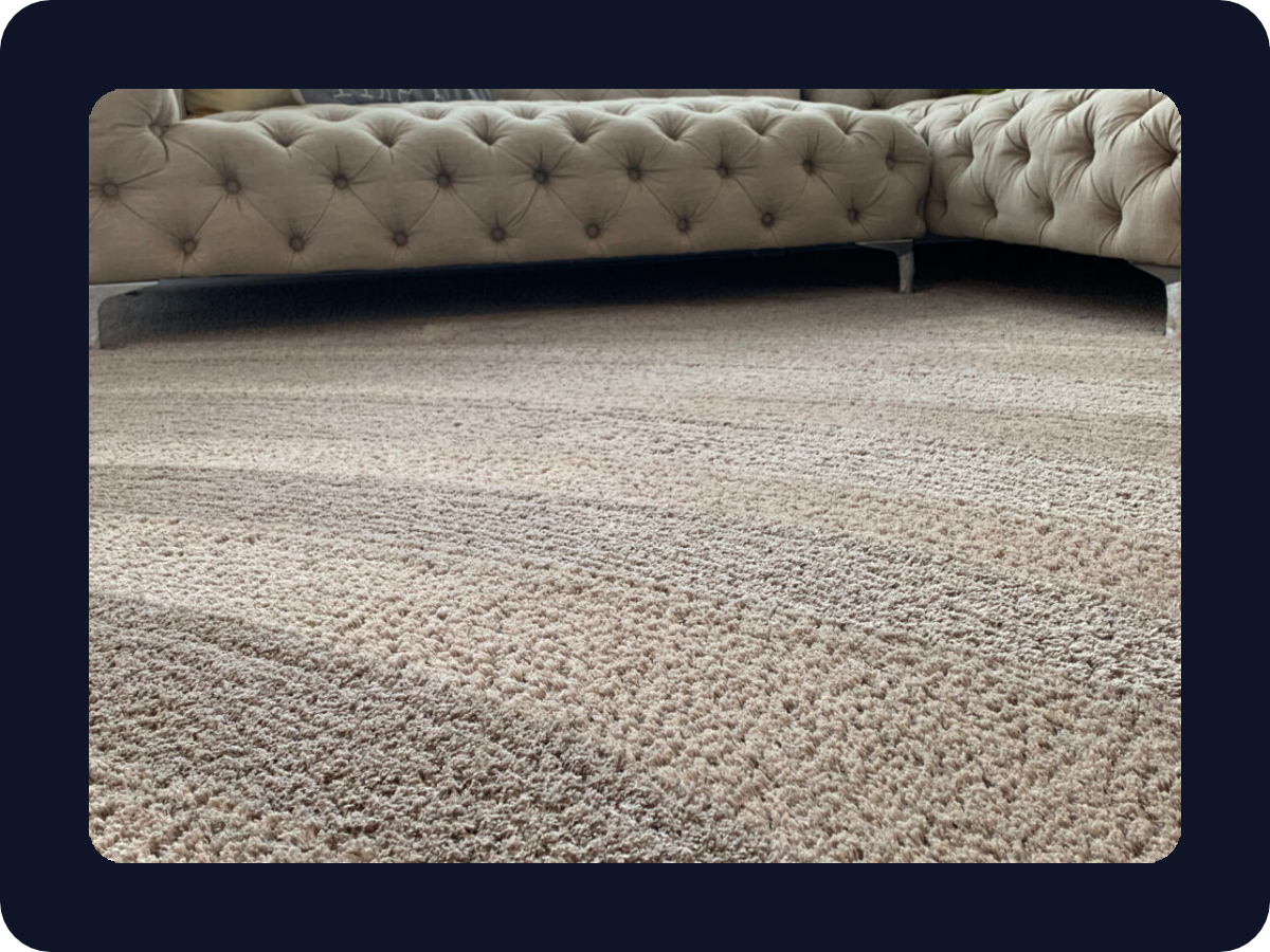 Carpet Cleaning