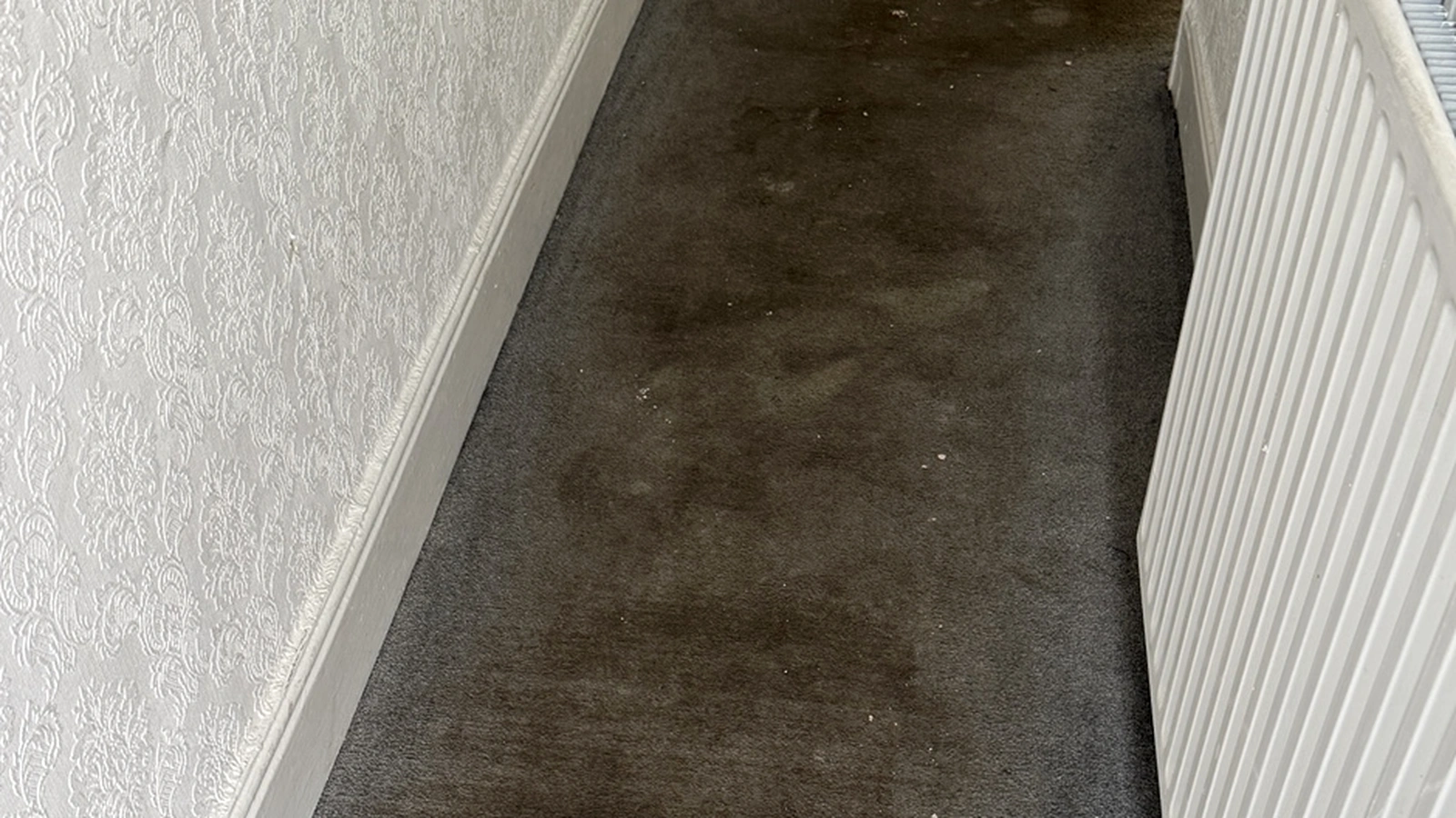 Heavily soiled rental property carpet with dark traffic lane staining before professional cleaning