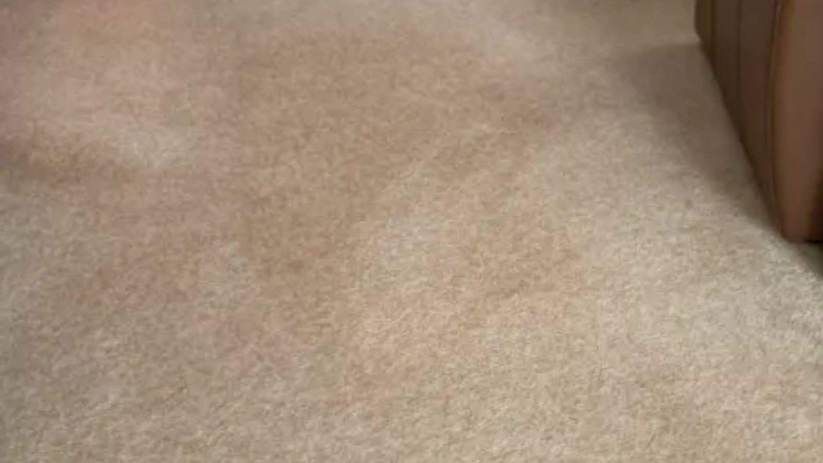 Cream wool living-room carpet after targeted stain removal successfully cleared the red wine spill