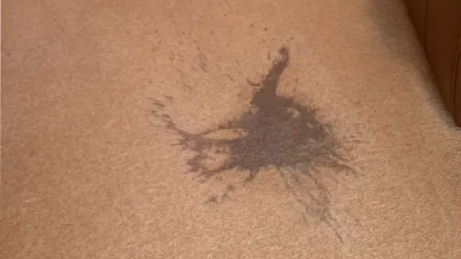 Cream wool living-room carpet with a dark red wine stain before targeted cleaning in Washington