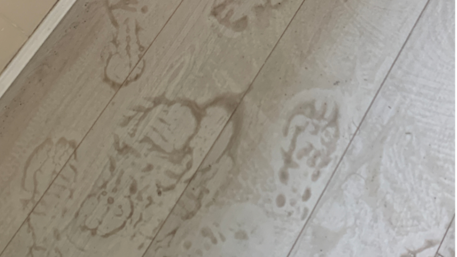 Bedroom LVT floor in a rental property before end-of-tenancy cleaning and polishing