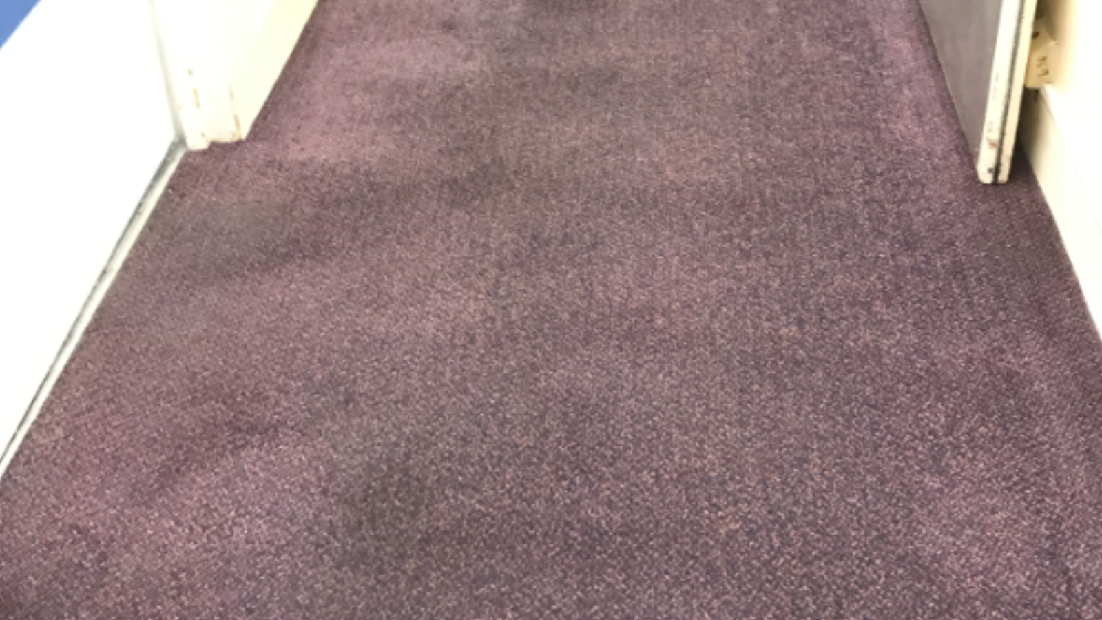 Corridor carpet after weekend cleaning at the Rainton Bridge call centre